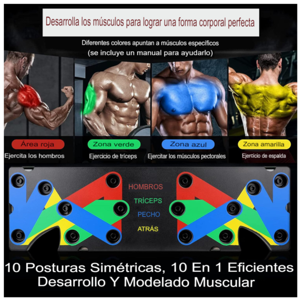 Tabla de Flexiones Zimex + Banda de Resistencia – Entrenamiento Completo en Casa - Imagen 4